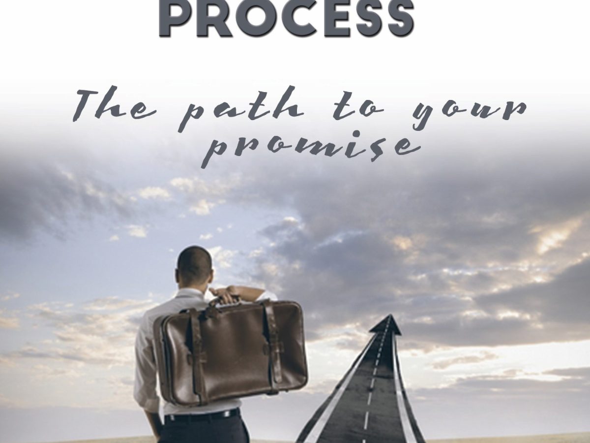 The_Faith_Process_Book_front