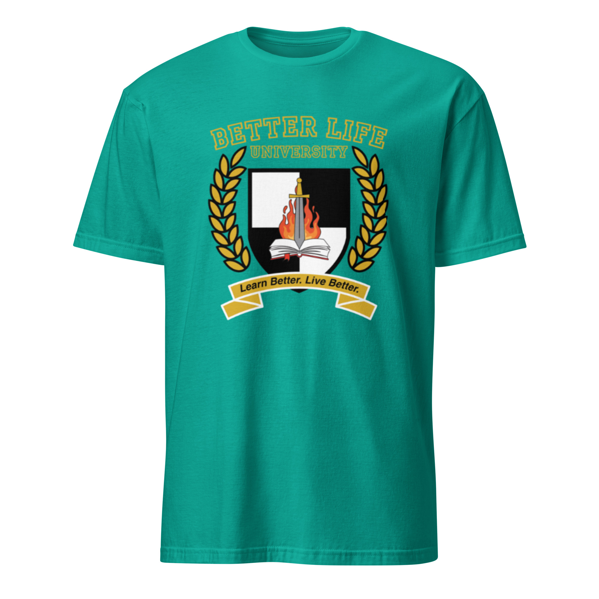 unisex-basic-softstyle-t-shirt-jade-dome-front-6a41617c2d83a.jpg